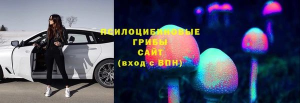 хмурый Абаза