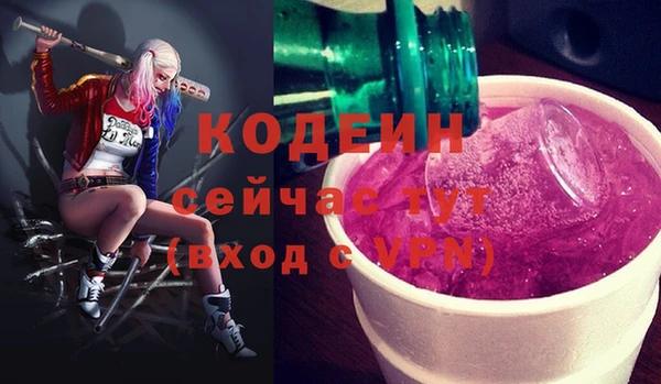 хмурый Абаза