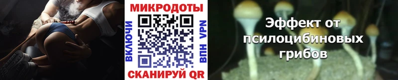 Галлюциногенные грибы Psilocybe  Болотное 