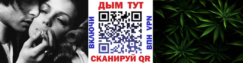 Канабис SATIVA & INDICA  цены наркотик  Болотное 